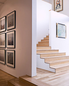 ptoint_galeríaanimal_02