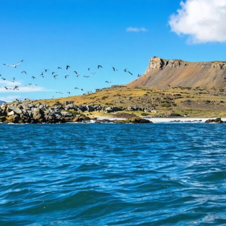 Isla Damas – Chile